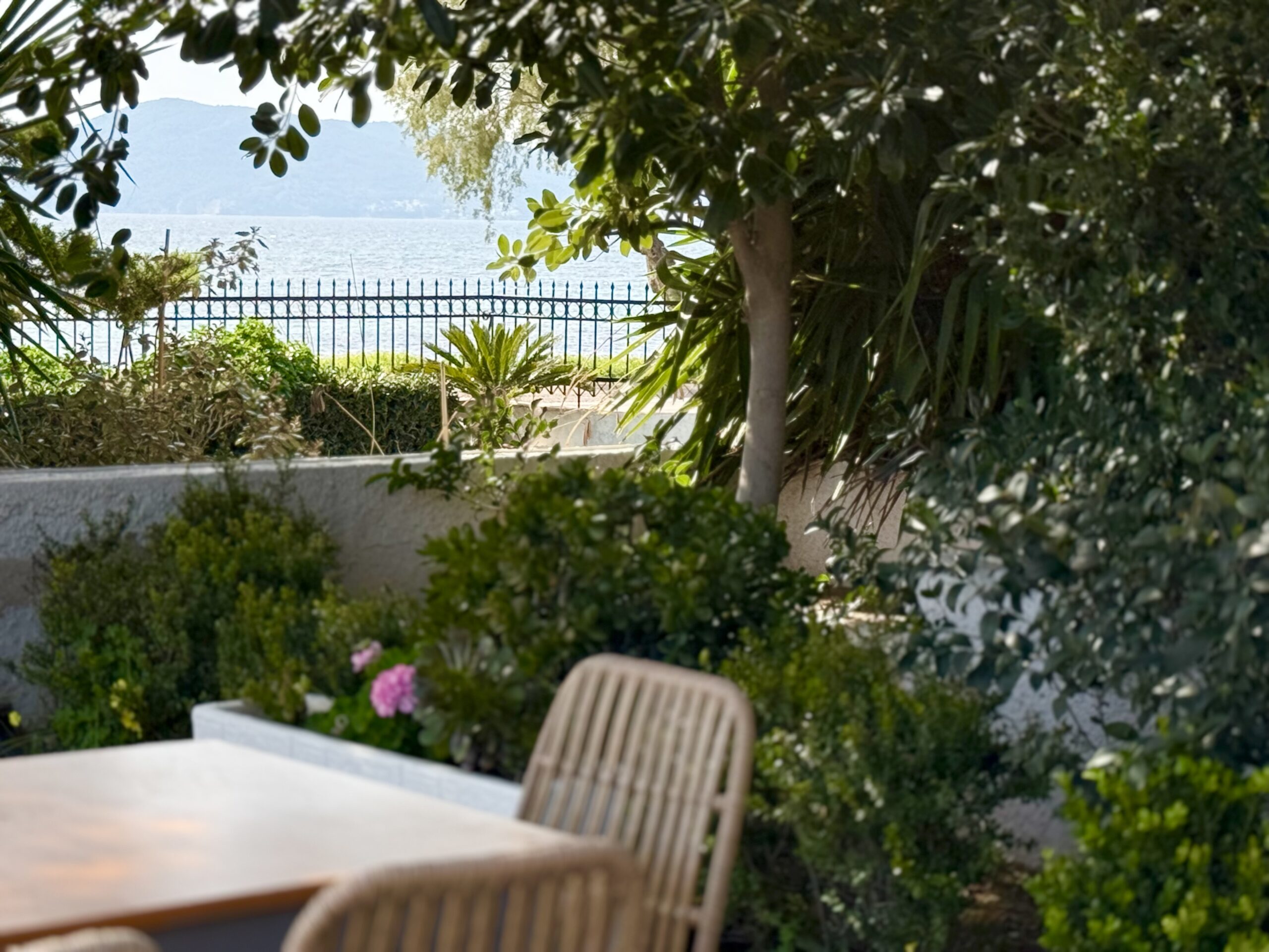 Αυλή και Τοποθεσία