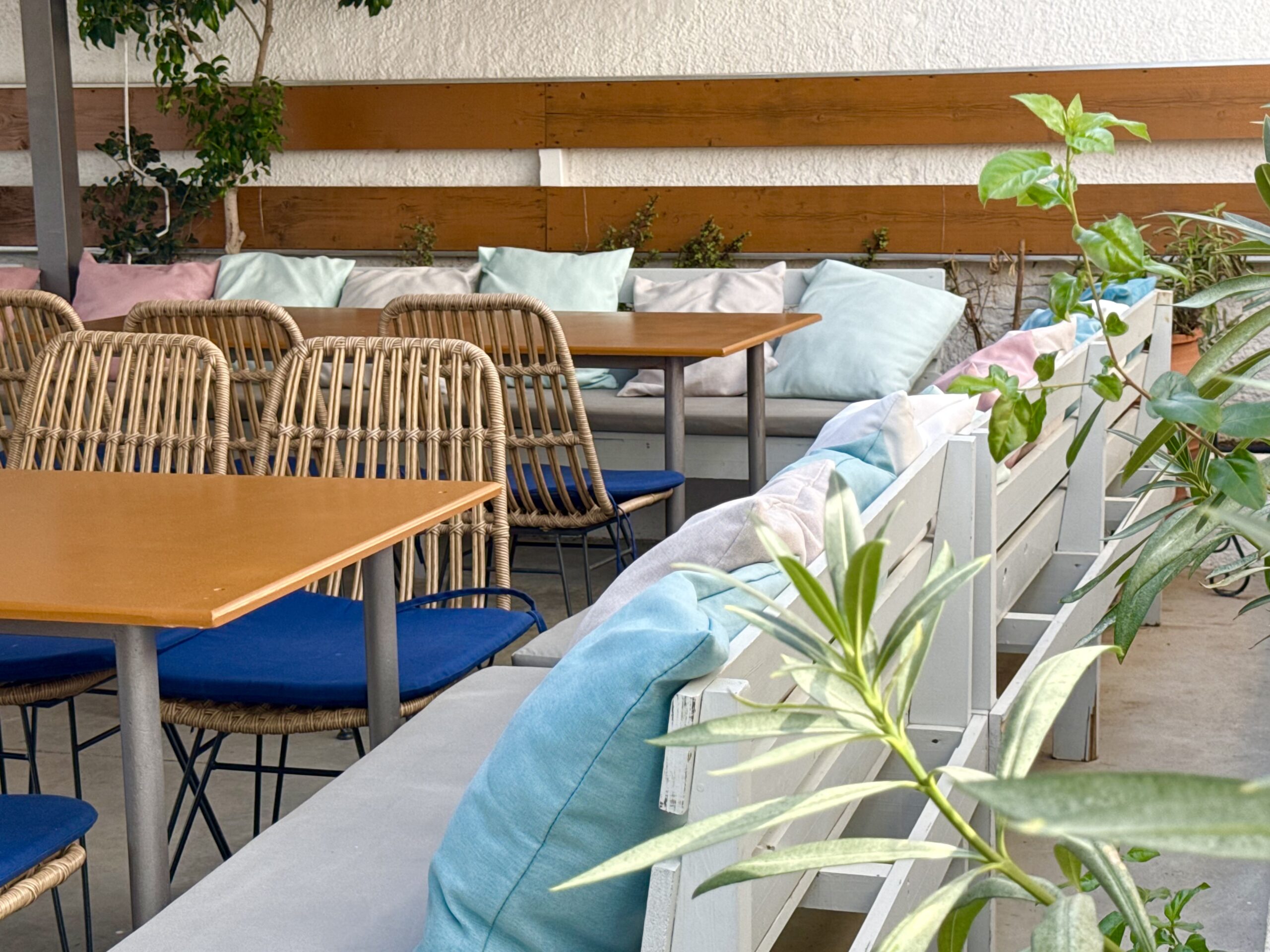 Aegina Coastal Dining Experience Manitas